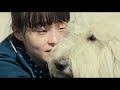 「映画『ハウ』オリジナル「味方」mv〜 ハウと癒し犬〜」