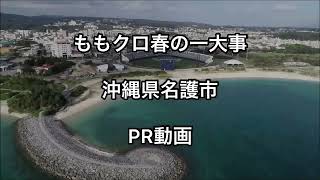 「ももクロ春の一大事2023」名護市PR動画