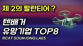 제 2의 팔란티어? 1000% 오를 텐배거 유망기업 TOP8 (RCAT SOUN IONQ LAES 등)