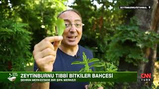 Zeytinburnu Tıbbi Bitkiler Bahçesi| Toprak Anadan 21. Bölüm