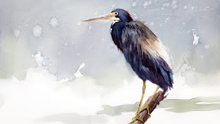 Watercolor painting a tricolored heron