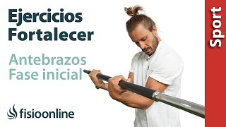 Antebrazos FUERTES con estos 6 EJERCICIOS