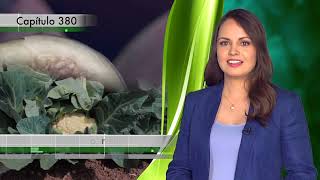 AGRONOTICIAS sie7e PROGRAMA 380