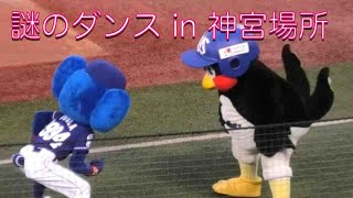 つば九郎\u0026ドアラの謎のダンス in 神宮場所