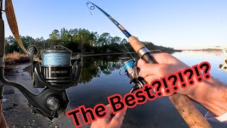 Is The Diawa BG MQ The BEST Spinning reel? *BONUS REVIEW*