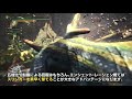 【mhw】エンシェントレーシェンおすすめ武器解説 片手剣【モンハンワールド】