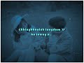 Mary Dawngi || Chingkhualah 🎋 lyrics video