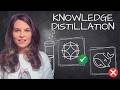 Knowledge Distillation: How LLMs train each other