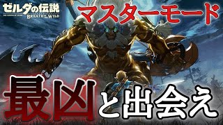 さぁ、マスターモードだ。[DLC][ゼルダの伝説 ブレスオブザワイルド][マスターモード]#1