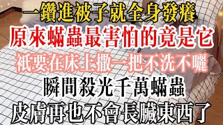 一鑽進被子就全身發癢？原來蟎蟲最害怕的竟是它！只要在床上撒一把，不洗不曬，瞬間殺光千萬蟎蟲！皮膚再也不會長髒東西了