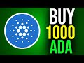 Why You Should Own At Least 1000 Cardano Tokens - Ada Cardano Cyptocurrency