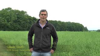 Oliver Smith - iOSR Growers Meeting 2018