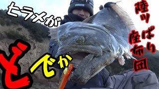 ヒラメ釣りたいなら絶対見るべき！魚影の薄い海域でも大物いる！ヒラメ実釣2年の軌跡がここに！