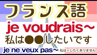 35 .フランス語基礎～je voudrais～私は～したいです＿改製版