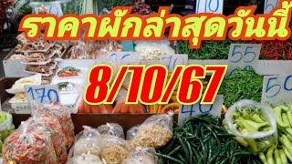 ราคาผักล่าสุดวันนี้ 8/10/67