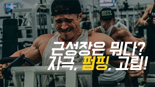 근육 펌핑은 근성장에 효과적일까? | 펌핑 훈련 팁