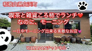 和歌山県白浜町　喫茶と雑貨ころ柿でランチ❤️なのに、モーニング☕️WAKAPANチャンネル🐼