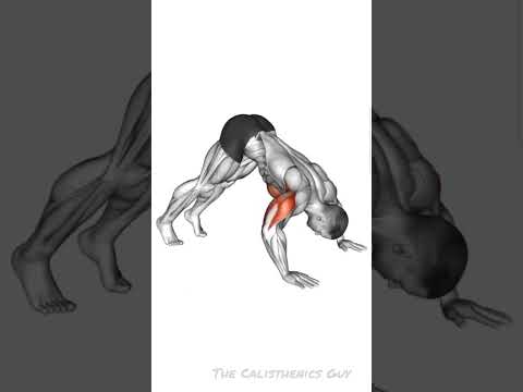 How to do Pike Push Ups – Advanced Guide #pikepushup #pushups #calisthenics