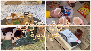 فلوق شتوي في الديرة🪵🐄🌴/winter vlog