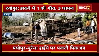 Sheopur-Morena Highway पर पलटी पिकअप | 1 की मौत, 3 गंभीर रूप से घायल | देखिए