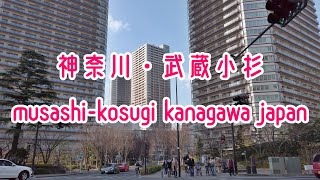 川崎散策 街歩き 中原区 武蔵小杉 Kanagawa Walk Musashi-Kosugi