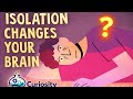 What Isolation Really Does to Your Brain