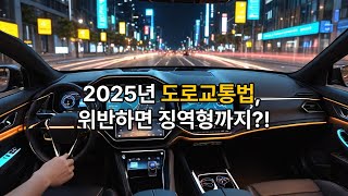 예전처럼 했다간 징역5년, 2025년부터 무조건 알아야할 도로교통법