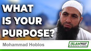What is your Purpose - Mohammad Hoblos