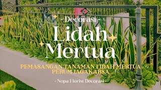 PEMASANGAN TANAMAN BOX PLANTER LIDAH MERTUA ARTIFICIAL - NOPA FLORIST PROJEK