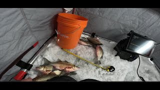 Battle on Bago 2025 - Lake Winnebago Fishing Tournament