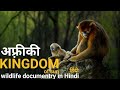 The kingdam of the sun - हिंदी डॉक्यूमेंट्री ! African wildlife documentry in Hindi