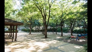 Cheongdam Park in Seoul, South Korea