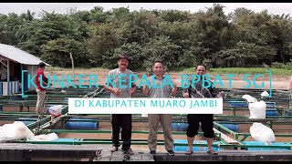 Kunker Kepala BPBAT Sungai Gelam di Kabupaten Muaro Jambi