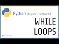 Beginner Python Tutorial #9 - While Loops in Python