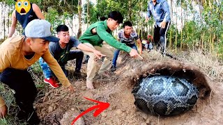 Brave Experts Catch 100 giant Python By Hand