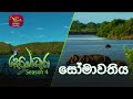 Sobadhara - Sri Lanka Wildlife Documentary | 2020-08-14 | Somawathiya National Park (සෝමාවතිය)