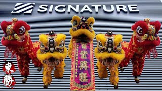 Lion Dance By Tong Seng 吉隆坡東勝龍獅体育会 | SIGNATURE BANDAR RIMBAYU 舞狮採青 开张贺庆 醒狮旺店