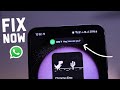 How to Fix WhatsApp Notifications Not Showing on Homescreen? (Android + IOS)