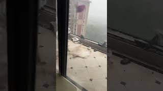 Super Typhoon BATTERS apartment windows
