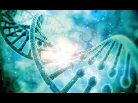 BIO 315 Human Genetics Introduction to human genetics