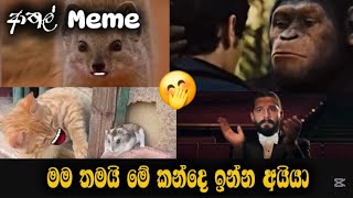 මම තමයි මේ කන්දෙ ඉන්න අයියා | ආතල් Memo 🤭 #funny #funnyvideo #meme #memes #memesvideo #funnymoments