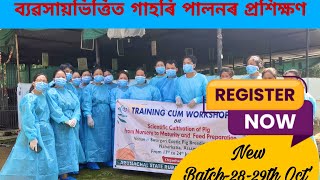 Piggery Training, Assam➡️𝐍𝐞𝐱𝐭 𝐁𝐚𝐭𝐜𝐡-28-29th Oct''𝟐𝟒)☎️𝟗𝟕𝟓𝟖𝟏 𝟕𝟓𝟒𝟖𝟐 #গাহৰিপালন #piggerytraining #গাহৰি