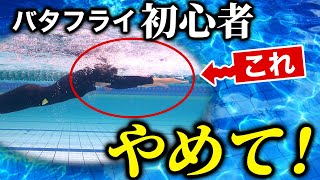 楽なバタフライには秘密がある!プロが実践している泳ぎ方とポイント