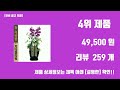 당일배송 개업화분 top10 인기순위 판매가격 리뷰 후기 추천