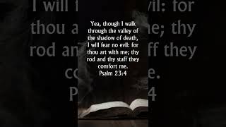 Psalm 23:4 KJV Audio Bible | Though I walk through the valley of the shadow of death