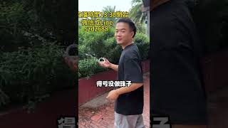 2500成功捡漏半山水翡翠手镯，家人们觉得成品出来能卖多少（2）#翡翠 #翡翠手鐲 #翡翠直播 #翡翠手镯