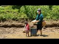 Gardening, Harvesting Fish in Pond, Cooking, Mountain Family Life | EP. 82