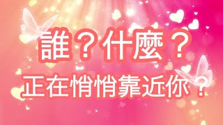 五月塔羅占卜：誰？什麼？正在悄悄靠近你。貴人？戀人？幸運？財富？什麼好事即將發生？