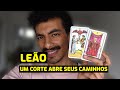 LEÃO TAROT: UNIÕES MAIS JUSTAS! MANIFESTANDO SEU BRILHO! UM CORTE AINDA É PRECISO...