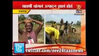 Zee24Taas : Raigad Sudden Rain Washed Crop